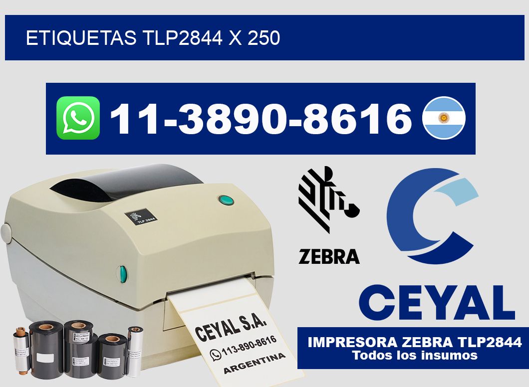 ETIQUETAS TLP2844 X 250