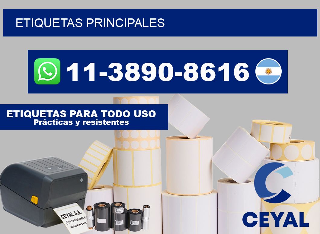ETIQUETAS principales