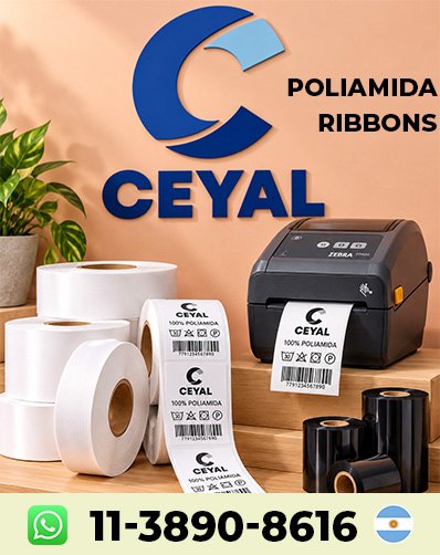COMO UTILIZAR RIBBON RESINA - Probá una opción